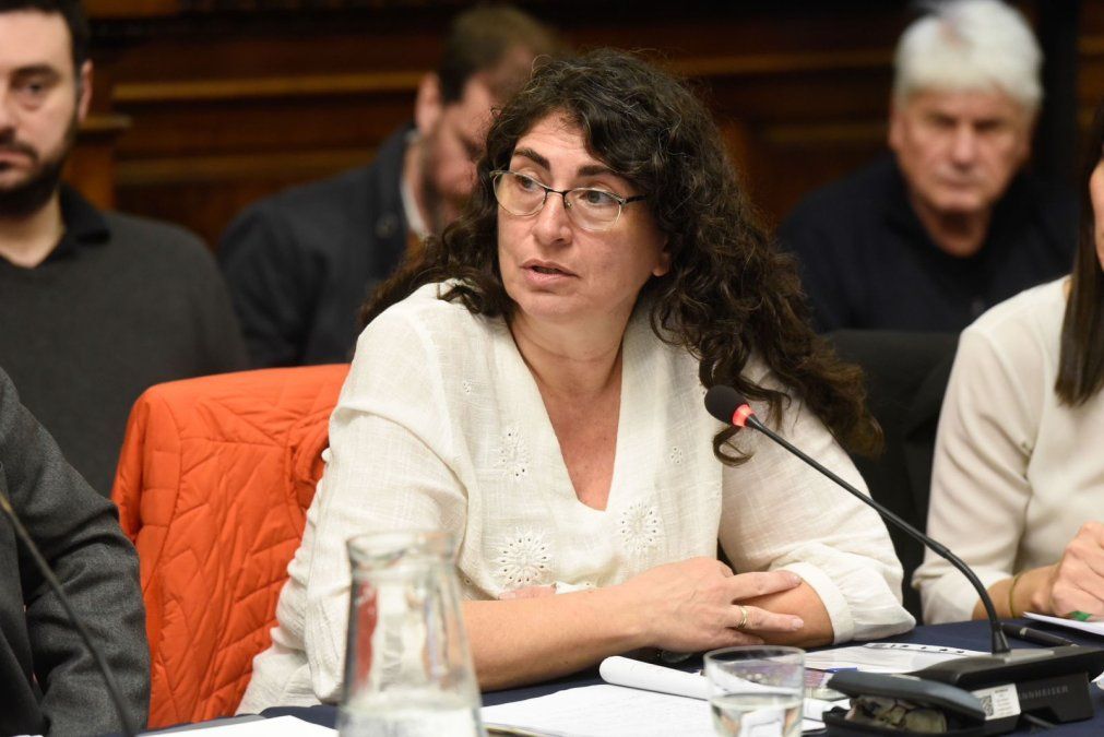 Ana María Ianni en defensa de la herramienta estatal en el Presupuesto 2026.