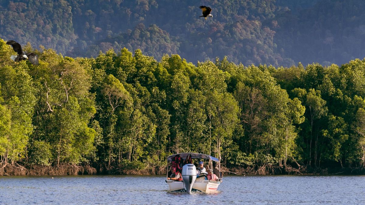 Descubre el lado sostenible de Malasia: culturas vivas y selvas milenarias