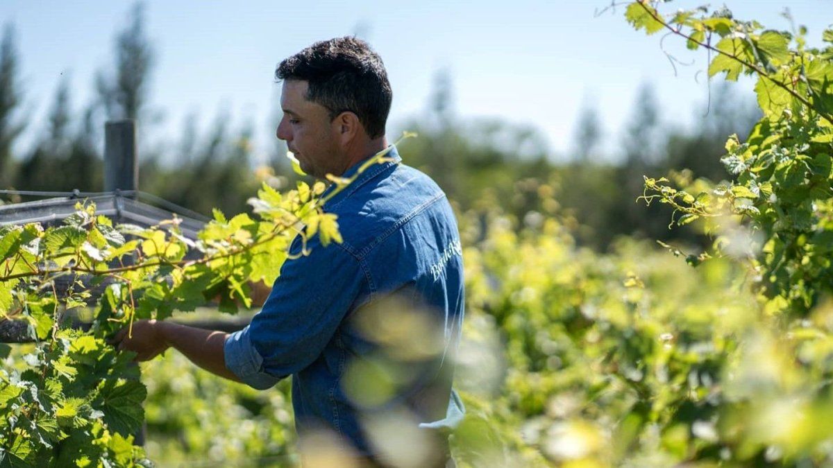 Escapadas a Entre Ríos: Concordia propone el evento “Entre Ríos, Entre Viñas”, el 12 y 13 de septiembre.