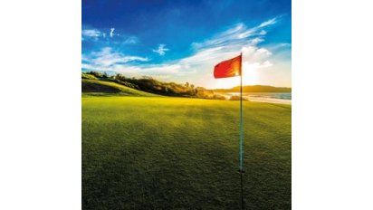 Un segmento vigoroso y con gran proyección