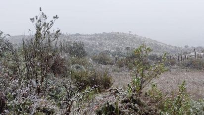 Bogotá: gran nevada en el Páramo de Sumapaz