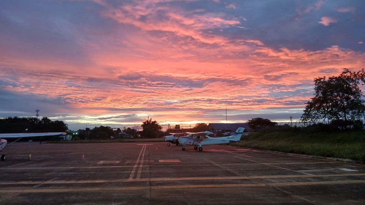 Son 141 rutas sociales las que Satena implementará a su portafolio, de acuerdo con la Aeronáutica Civil.&nbsp;
