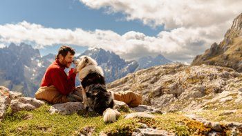 Descubrí cuáles son los requisitos para viajar con mascotas en el territorio de Argentina.