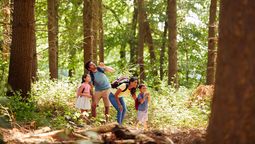 Escapadas ideales cerca de Bogotá para transformar tu fin de semana en una experiencia llena de naturaleza, descanso, aventura y nuevos sabores.