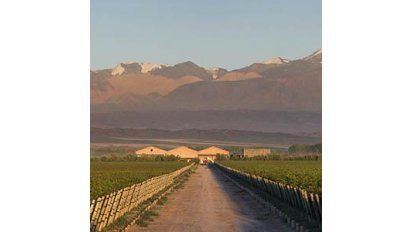 Un vino orgánico y 100% malbec