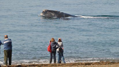 Chubut: qué hacer en Puerto Madryn gratis en invierno