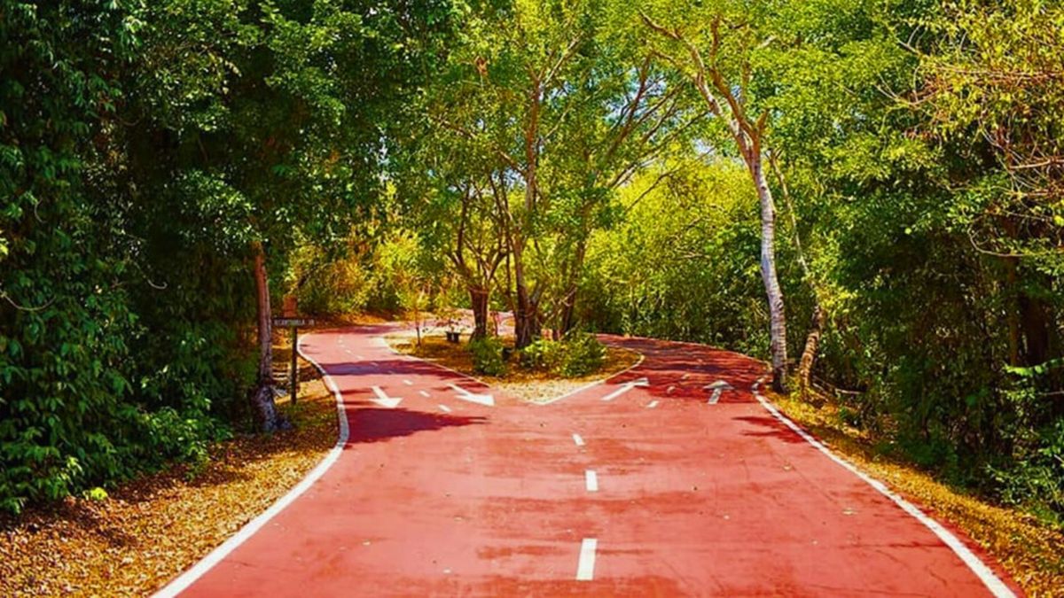 Recorre esta impresionante ciclopista rodeada de hermosos paisajes naturales.