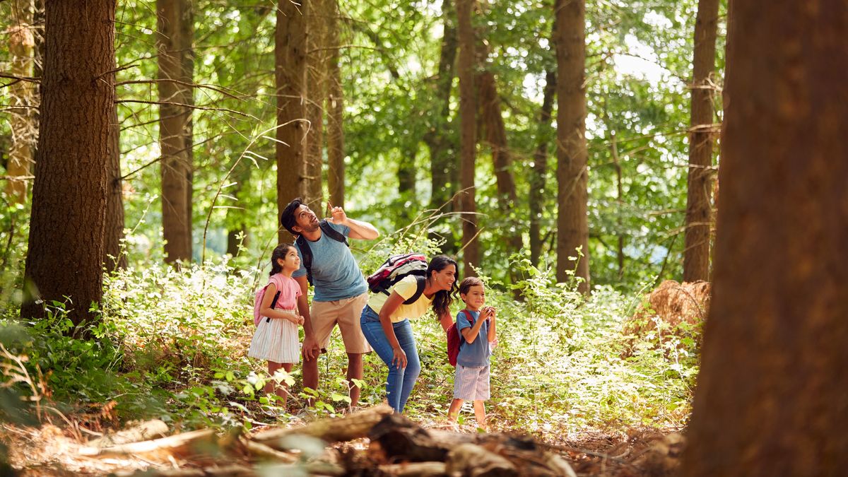 Escapadas ideales cerca de Bogotá para transformar tu fin de semana en una experiencia llena de naturaleza, descanso, aventura y nuevos sabores.