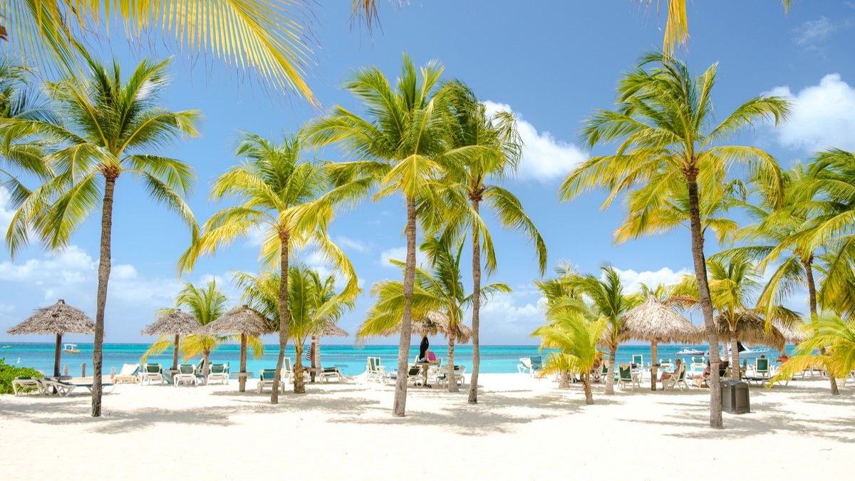 Buenos Aires-Aruba, nuevo vuelo directo a partir de la temporada de verano.