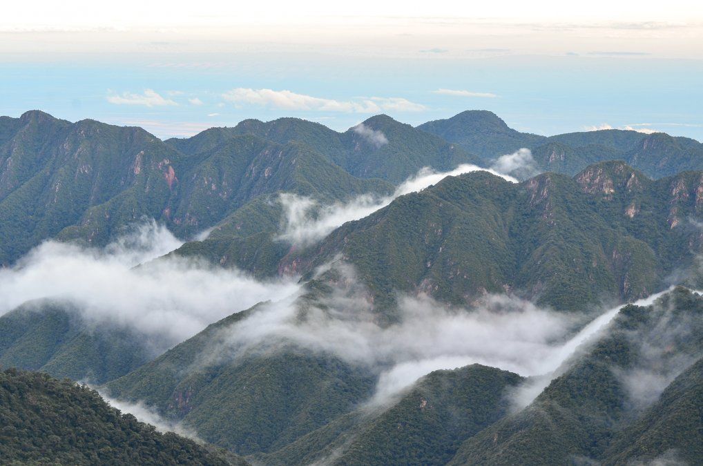 Argentina: el Parque Nacional Calilegua se encuentra a 115 km. de San Salvador de Jujuy. Argentina: el Parque Nacional Calilegua se encuentra a 115 km. de San Salvador de Jujuy.