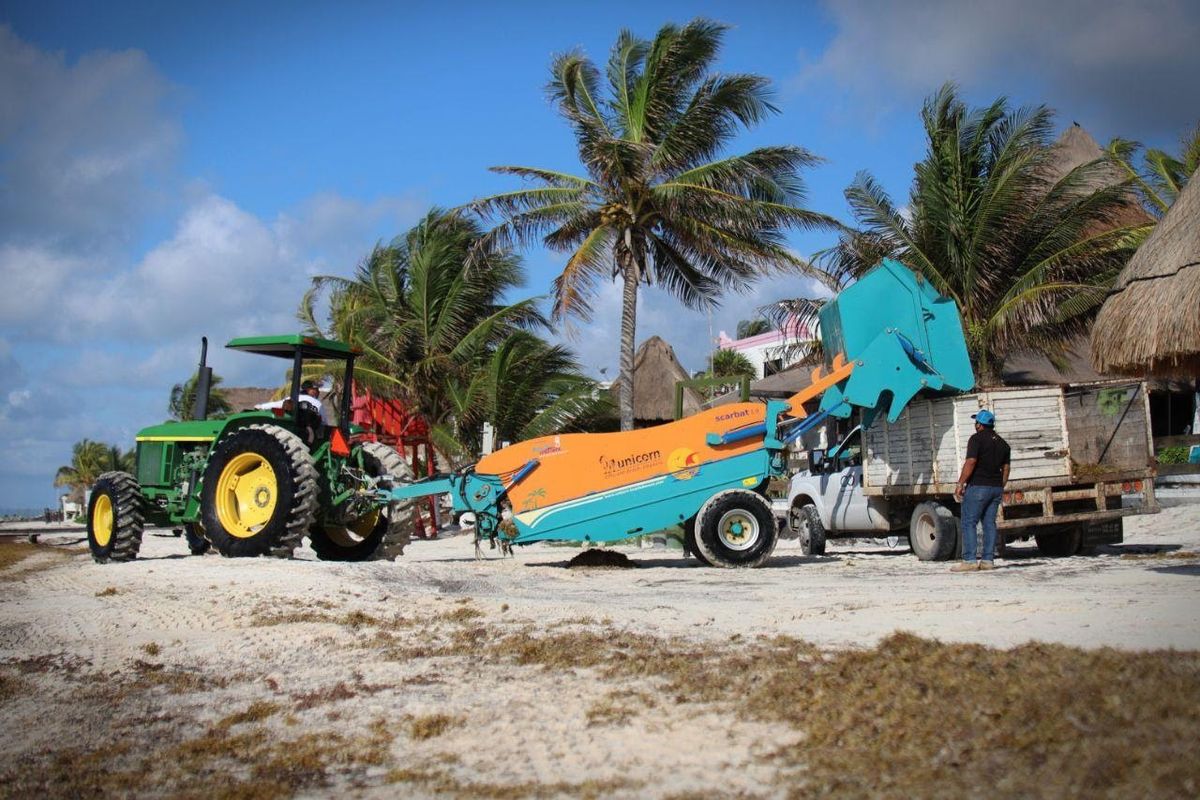 Autoridades prevén diversas estrategias para atender el problema del sargazo en Caribe mexicano. Funcionarios remarcan la variedad de actividades en el destino.