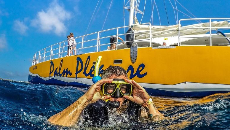 De Palm Tours opera en Aruba con una flota de 30 buses con capacidad para 50 personas, además de contar con una oficina en el aeropuerto local.