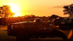 altText(Sabi Sabi, un oasis de vida silvestre en Sudáfrica)}