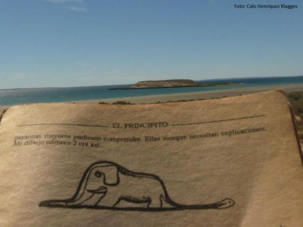 La Isla de los P&aacute;jaros, a partir de la cual, seg&uacute;n los trelewenses, se inspir&oacute; Antoine de Saint-Exup&eacute;ry.&nbsp;