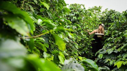 Quindío-Valle del Cauca: Paisaje Cordillerano impulsa el turismo en la zona