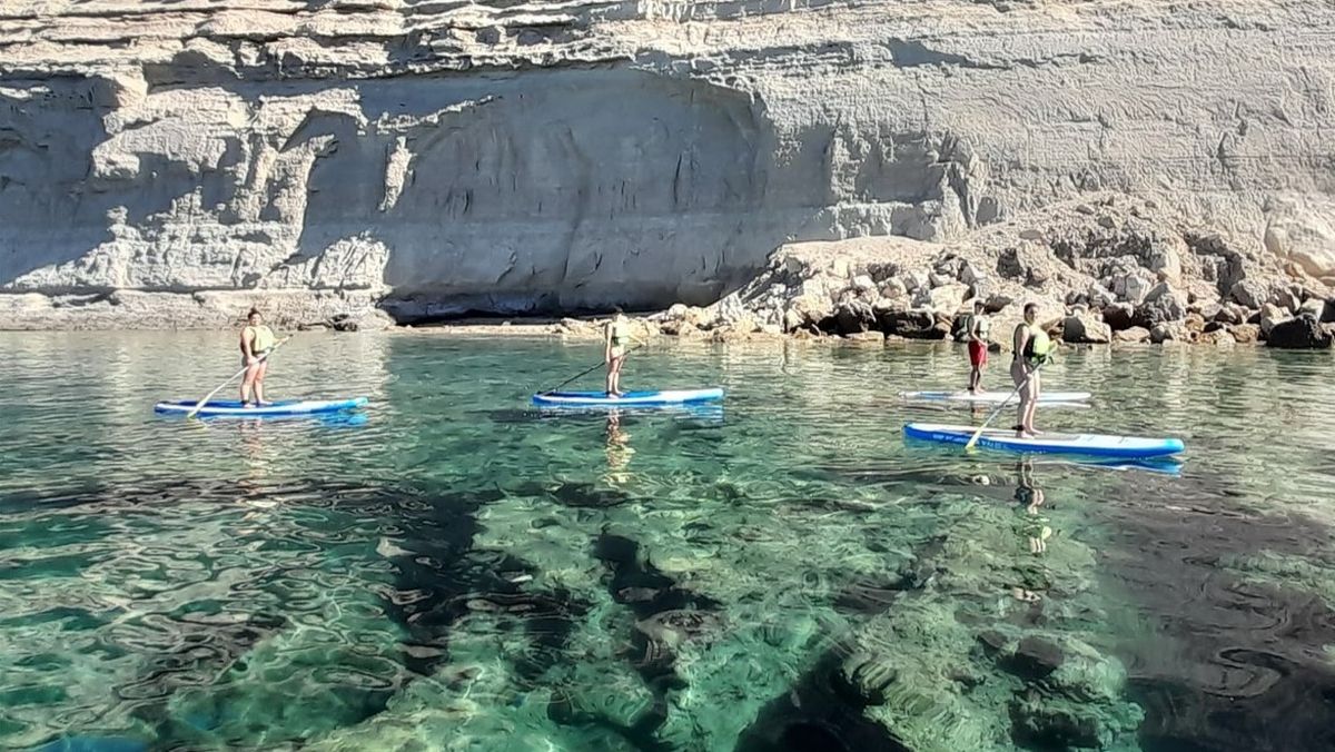 Si este verano, vas a la Patagonia te proponemos descubrir Puerto Pirámides.
