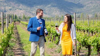 Boom del enoturismo en Chile: 220 viñas están abiertas al turismo
