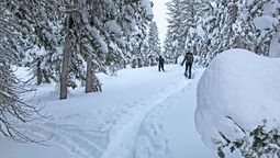 El estado de Nevada tiene excelentes centros de esquí a lo largo de su territorio.