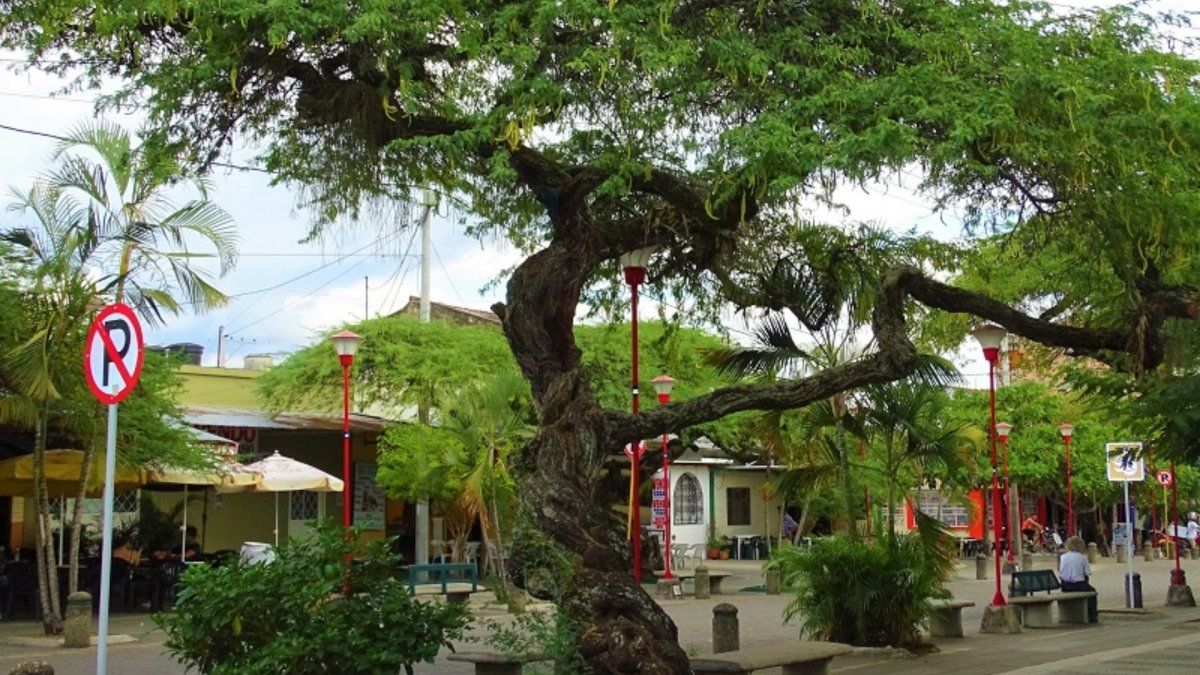 Uno de los planes en Anapoima es visitar los termales y tener un baño de relajación total. 