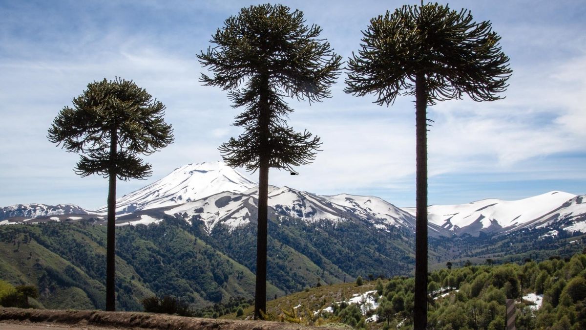 El destino permite combinar descanso con paisajes del sur de Chile.