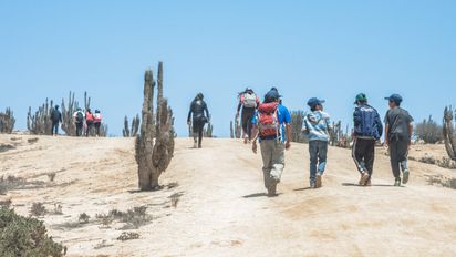 Conaf detalló que Chiletur Copec se encargará de vender entradas a través de Pasesparques.cl.