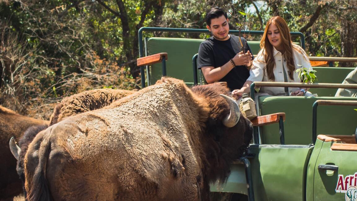 Diviértete conociendo y conviviendo de cerca con diferentes animales en Puebla.