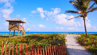 The Palm Beaches marca tendencia en 2025