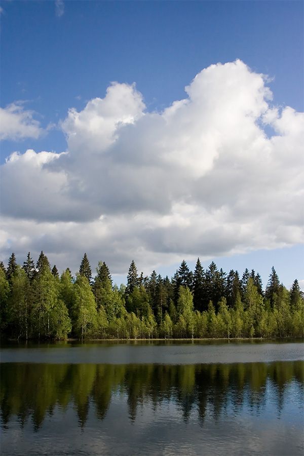 Finlandia y otro importante aniversario.