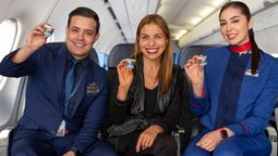 Una nueva alianza llevará a los cielos de Colombia el reconocido arequipe Alpina.&nbsp;