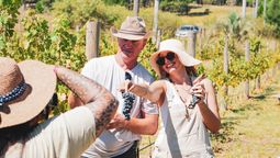 Concordia, vino y termas: viñedos, aguas termales, gastronomía y experiencias buscan atraer visitantes de mayor gasto y extender las estadías.