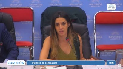 Yanina Martínez negó haber aplicado el PreViaje y defendió la política que pregona Javier Milei