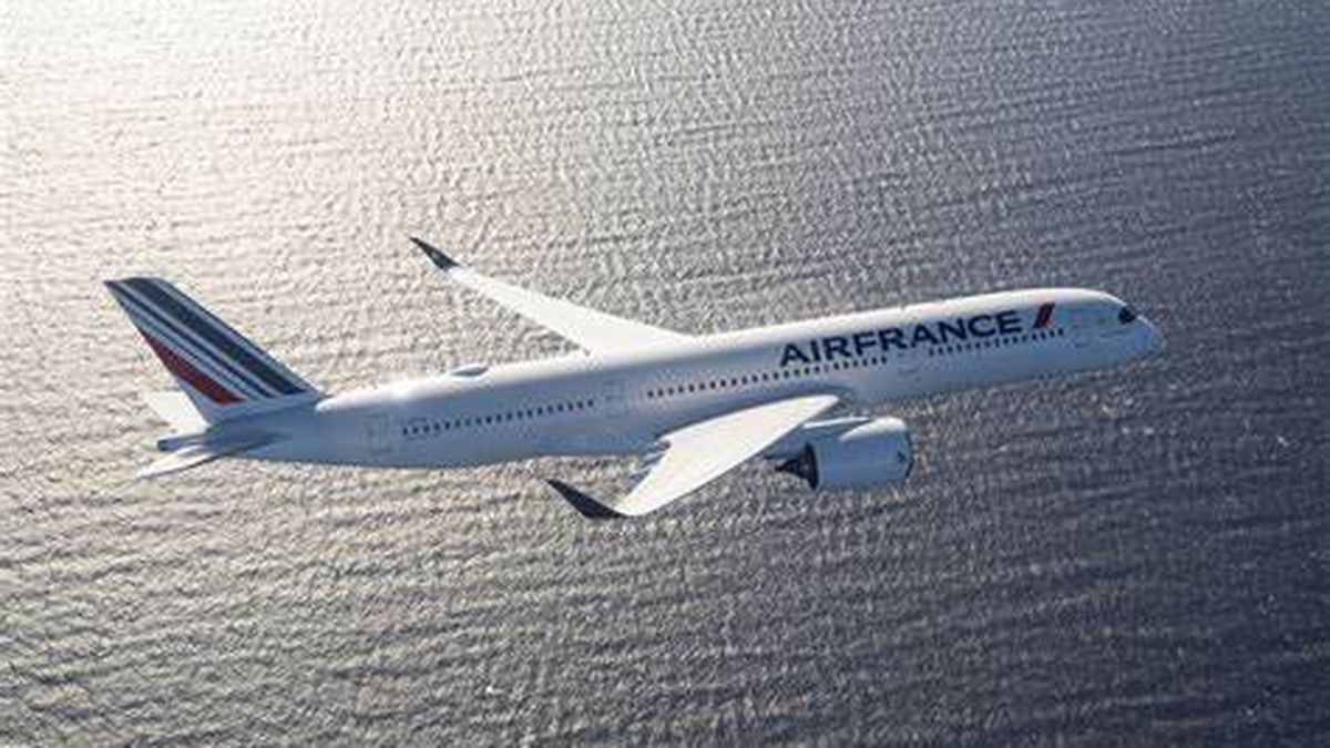 Air France torna-se parceira oficial dos Jogos Olímpicos e Paraolímpicos de  Paris 2024 - TNEWS