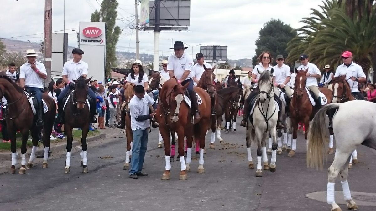 Imbabura impulsa su reactivación económica con actividades como la Cacería del Zorro.&nbsp;