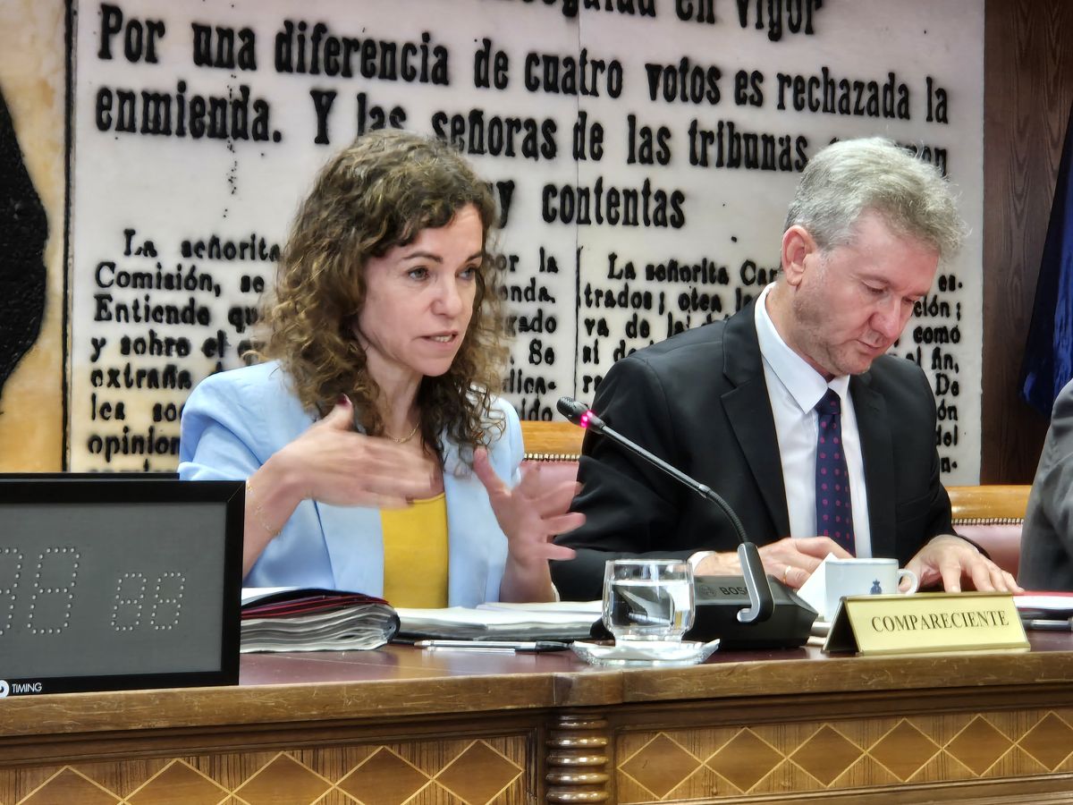 Rosario Sánchez en una comparecencia ante el Senado de España.