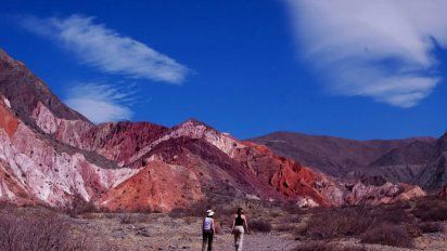 Invitan a Elon Musk a visitar Argentina