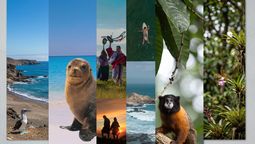 Gobierno destaca crecimiento entre enero y agosto de turismo receptivo y ventas.&nbsp;
