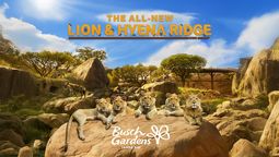 Busch Gardens realizará la obra más importante en 10 años.