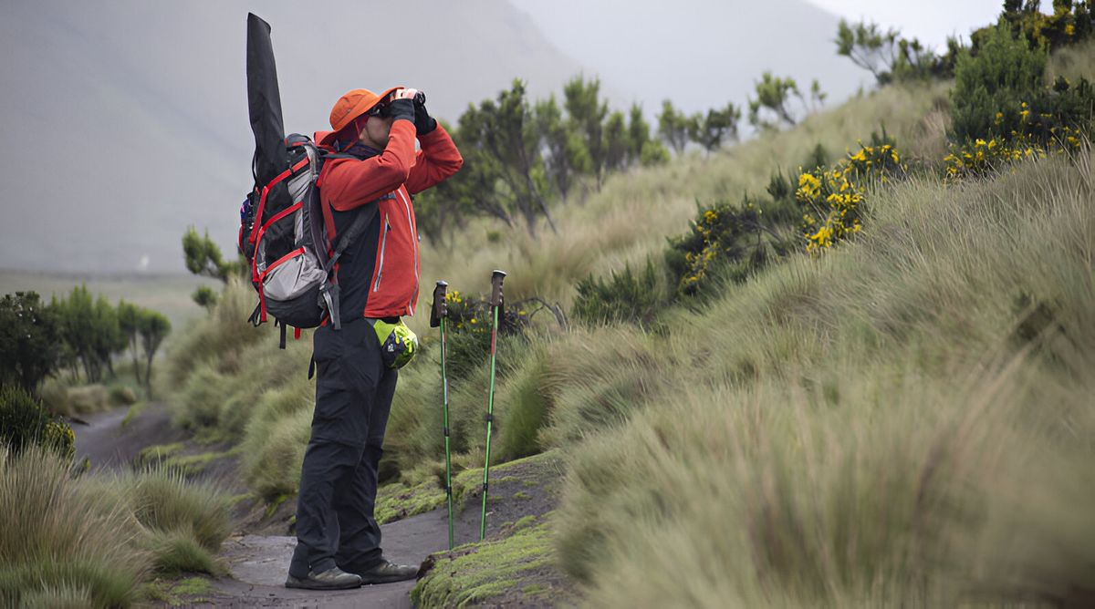 Quito Turismo promoverá el aviturismo en el Global BirdFair 2024. - Ladevi Medios y Soluciones Quito Turismo promoverá el aviturismo en el Global BirdFair 2024.