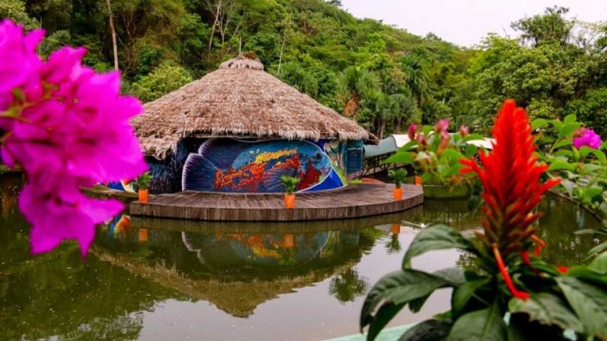 Meta, un destino que combina cultura, sabores auténticos y paisajes únicos como Caño Cristales, ideal para una escapada de fin de semana.