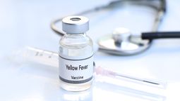 Ya no es obligatorio presentar el certificado de fiebre amarilla para ingresar a Ecuador desde países como Colombia.