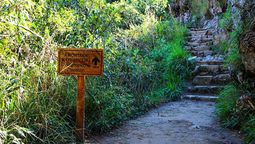 Visitantes nacionales y extranjeros recorreran la montaña Waynapicchu tras las obras de mantenimiento integral realizadas en Machu Picchu.