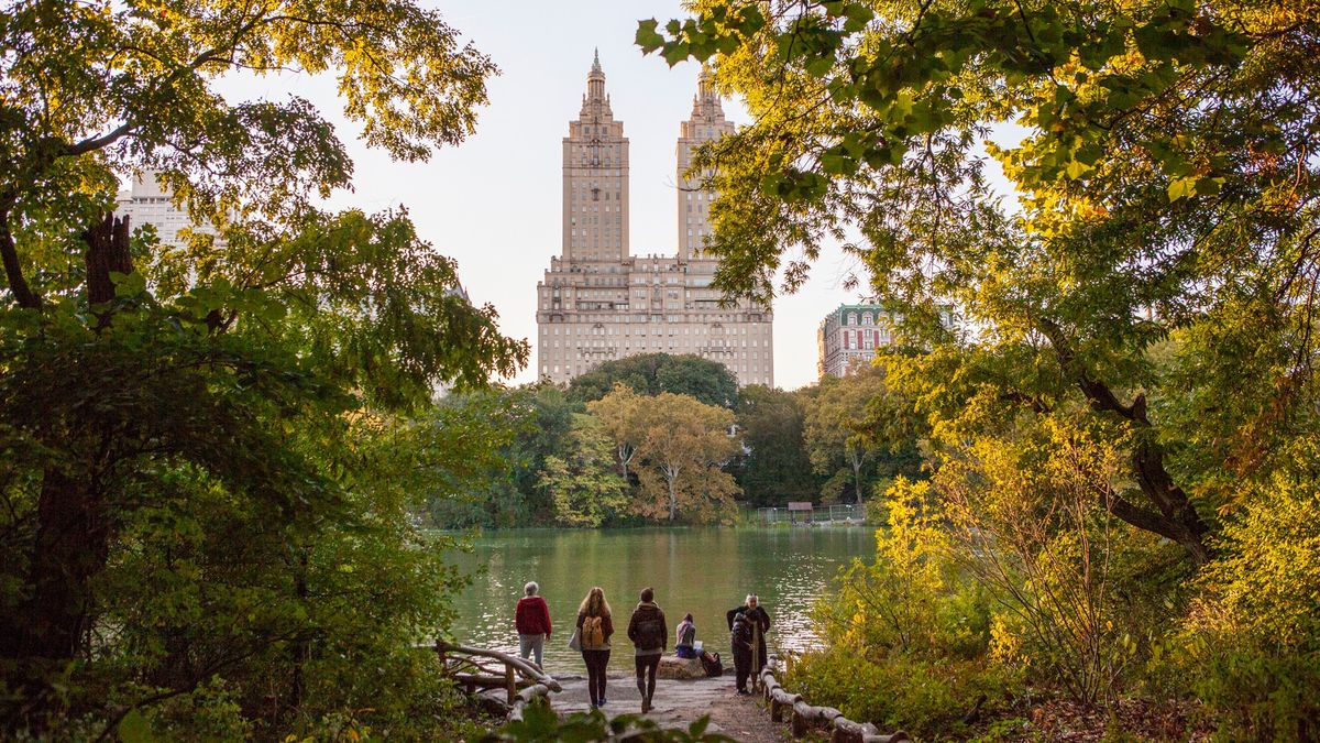 Un recorrido por los parques más emblemáticos de New York, donde naturaleza y vida urbana conviven en pleno Estados Unidos.