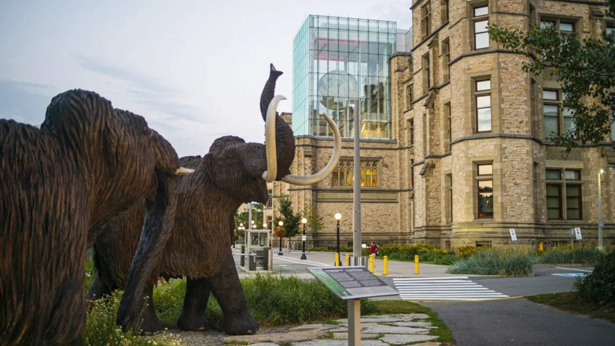 Si disfrutas del turismo cultural visita alguno de los museos de Ottawa.