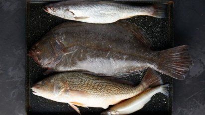 La cebichería&nbsp;ofrece una selección de pescadería y productos del mar.