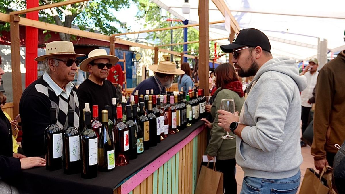 Vive una experiencia diferente en el Bus del Vino de la Fiesta de la Vendimia de Colchagua&nbsp;