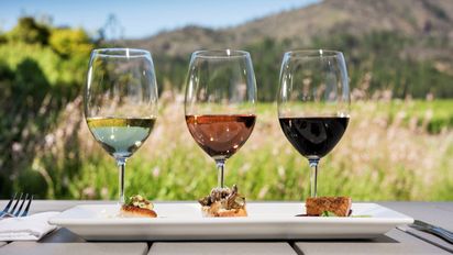 Conoce estos 5 festivales en Estados Unidos para conocer más sobre la producción de vino.