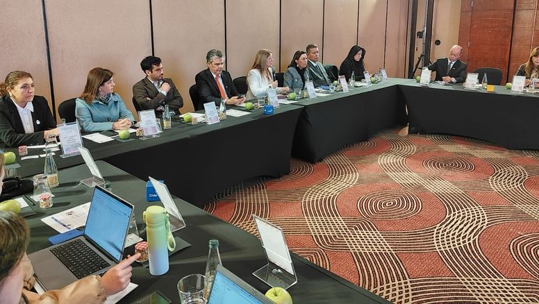 La presentación de IATA se realizó en el marco de Sudamérica Conecta.&nbsp;