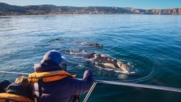 Vacaciones de invierno en Argentina: tres destinos perfectos para disfrutar en esta época del año.