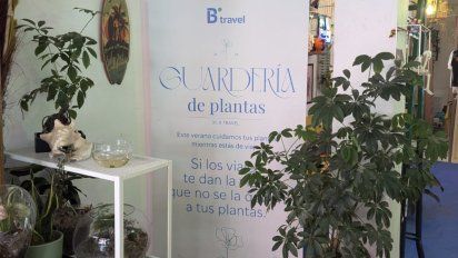 Interior de la floristeria adherida a la iniciativa Guarderia de plantas de B Travel.