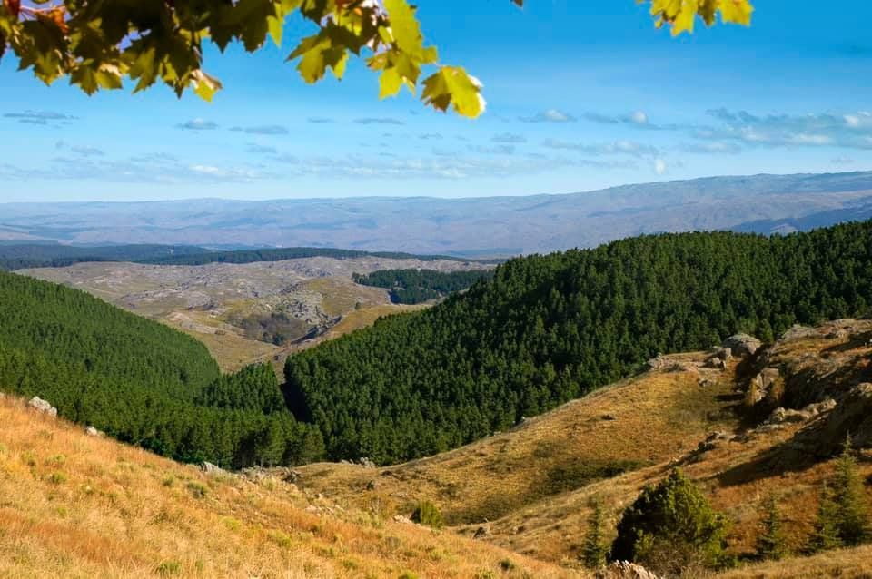 Córdoba: en Villa Berna es posible conseguir algunas de las postales más lindas en medio de la naturaleza. 